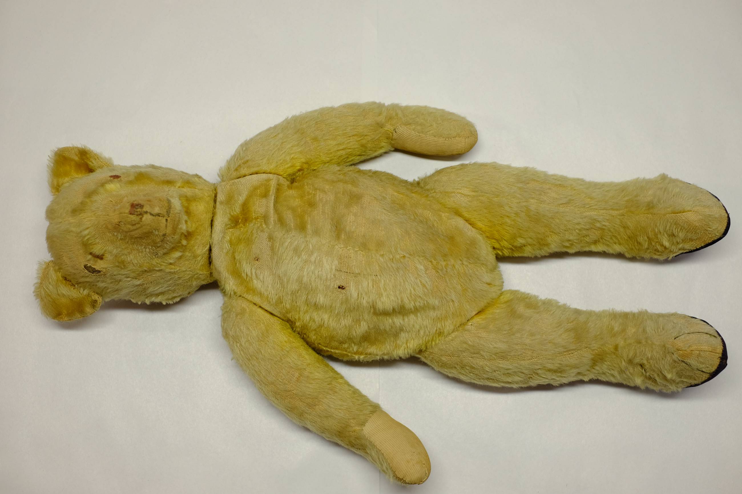 *Teddy. A large teddy bear, English, early 20th century, a gold mohair jointed teddy bear with - Image 3 of 4