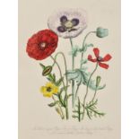 Loudon (Mrs. Jane). British Wild Flowers, 2nd edition, published William Orr & Co., 1849, additional