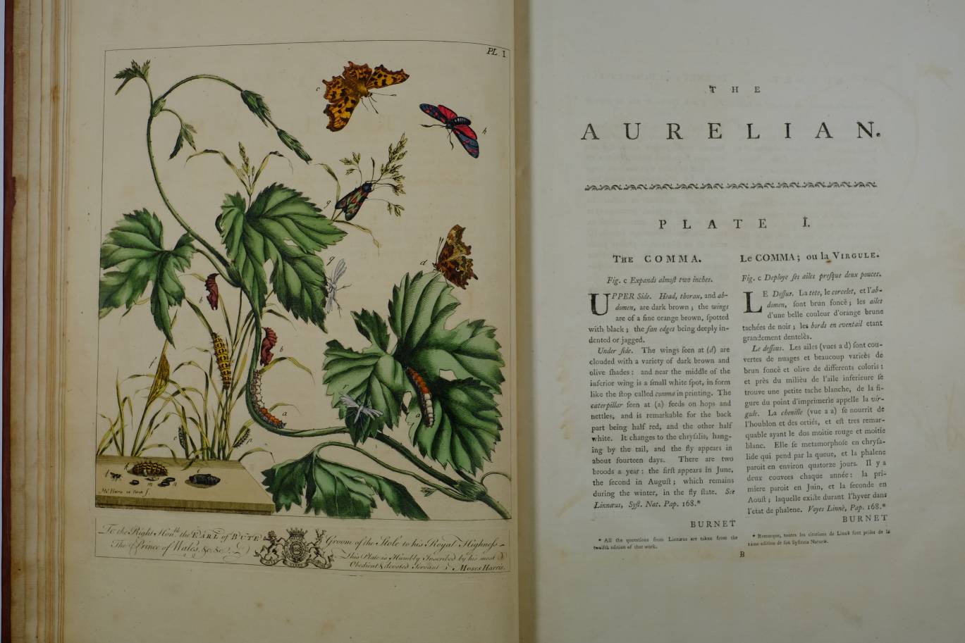 Harris (Moses). The Aurelian: Or, Natural History of English Insects; Namely Moths and - Image 9 of 12