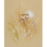 *Beningfield (Gordon, 1936-1998). Harvest Mouse, Long Tailed Field Mouse [and] Water Shrew, together