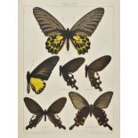 Seitz (Dr. Adalbert). The Macrolepidoptera of the World. A Systematic Account of all the known