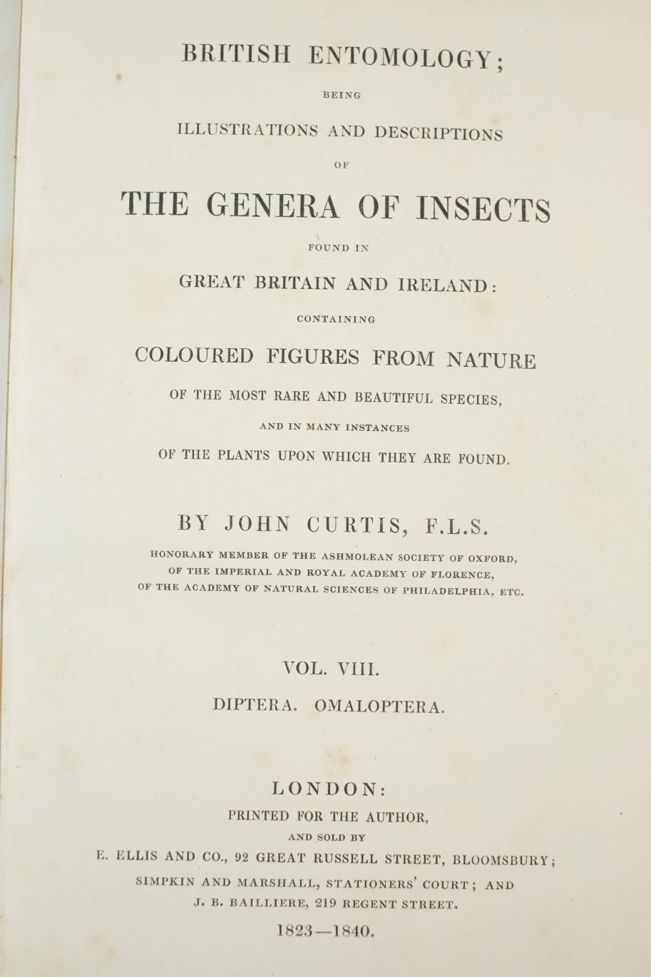 Curtis (John). British Entomology; Being Illustrations and Descriptions of the Genera of Insects - Image 6 of 11