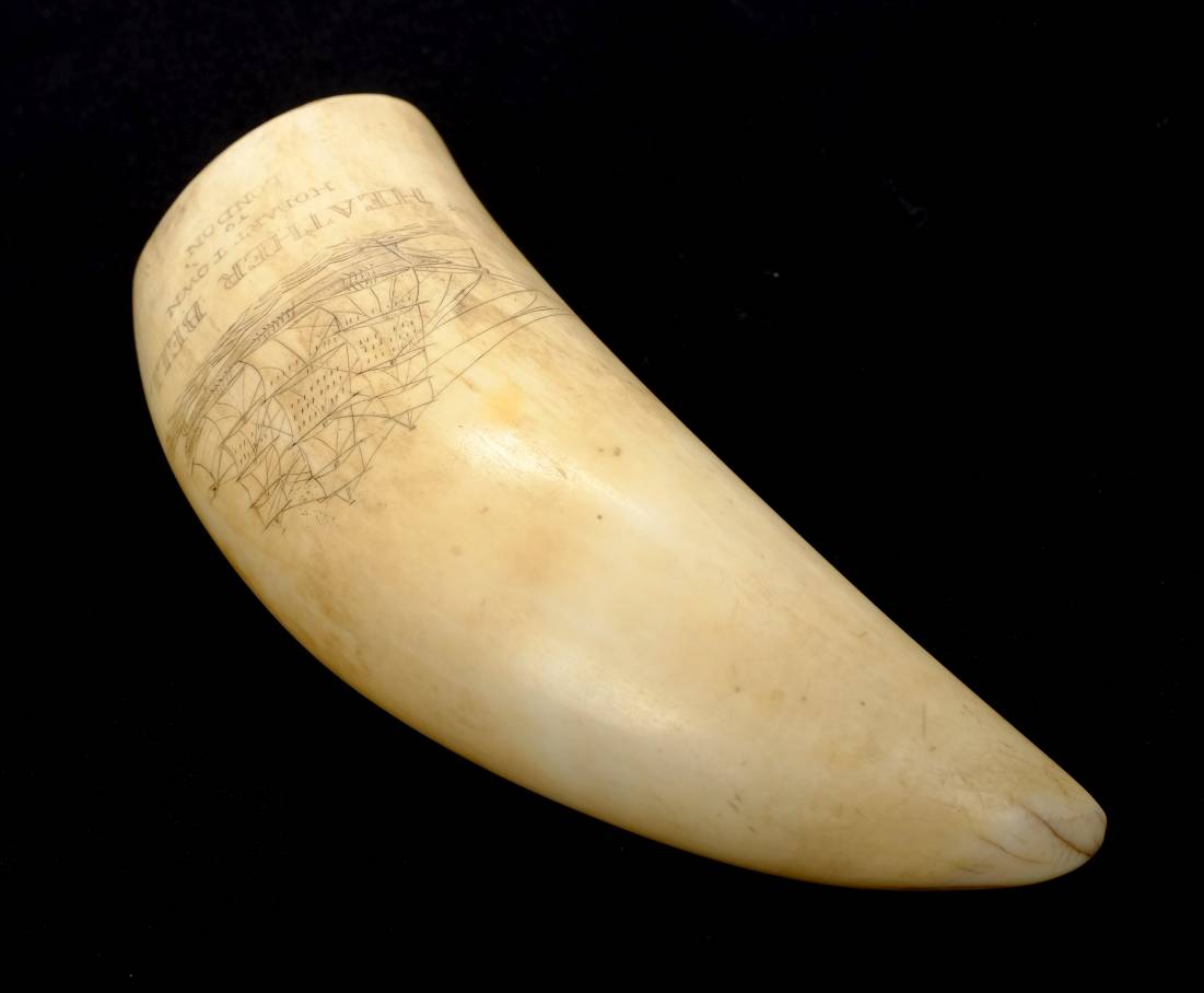 *Scrimshaw. A 19th-century whale's tooth with later decoration, engraved with a ship entitled " - Image 6 of 7