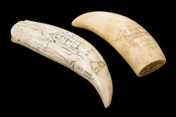 *Scrimshaw. A 19th-century whale's tooth with later decoration, engraved with a ship entitled "