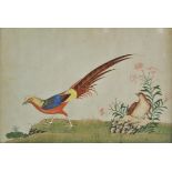 *Chinese Export. Bird studies, late Qing dynasty, mid to late 19th century, a pair of watercolours