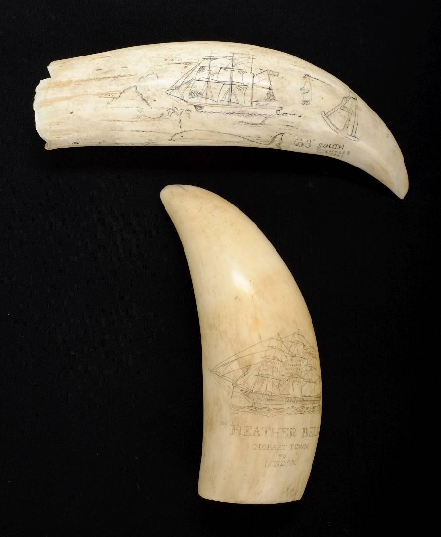 *Scrimshaw. A 19th-century whale's tooth with later decoration, engraved with a ship entitled " - Image 2 of 7