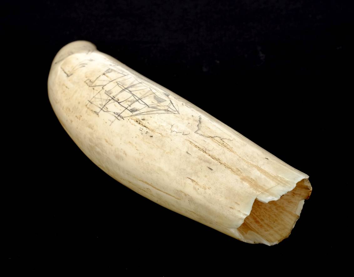 *Scrimshaw. A 19th-century whale's tooth with later decoration, engraved with a ship entitled " - Image 4 of 7