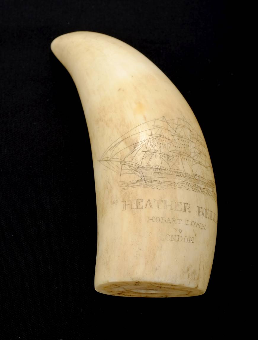 *Scrimshaw. A 19th-century whale's tooth with later decoration, engraved with a ship entitled " - Image 5 of 7