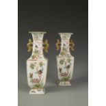 A PAIR OF CHINESE FAMILLE ROSE VASES decorated with birds and butterflies amongst flowers, late