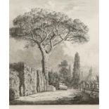 JACOB GEORGE STRUTT (1790-1864) "Pine in the Colonna Gardens, Rome", etching from "Sylva", 14" x