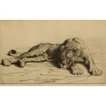 HERBERT DICKSEE (1862-1942) 'Sleeping lioness', signed in pencil in the margin, etching, 7" x 12"