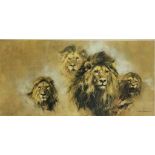 •DAVID SHEPHERD (b.1931) "Lion Majesty", copyright Solomon & Whitehead (Guild Prints) Ltd by