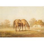 J. OTTER, 19th century A Mare and Foal with a cottage in the distance