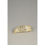 A WHALE'S TOOTH, with scrimshawed decoration of a three masted vessel, 5.5". See illustration.