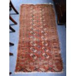 A BOKHARA RUG, worked with elephant foot guhls against a red ground 66" x 33"