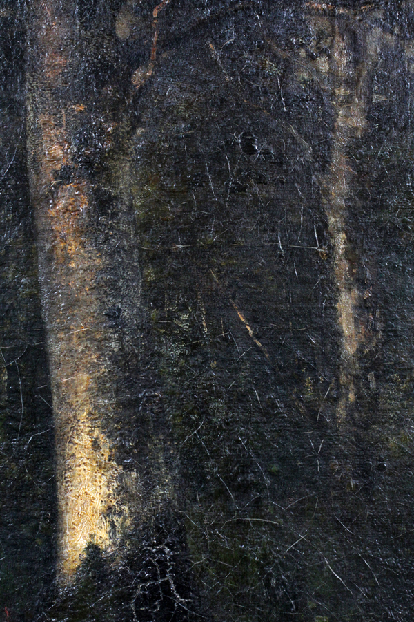 BEARS A SIGNATURE READING "G. COURBET" OIL ON CANVAS, H 26", W 20", "TREE TRUNKS OF A FOREST"Framed; - Image 3 of 5