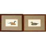 WILLIAM TYNER, HAND COLORED LITHOGRAPH, BLACK DUCK AND CANADA GOOSE, H 5", W 9 1/2"5" x 9 1/2"