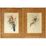 AFTER JOHN GOULD, OFFSET LITHOGRAPHIC REPRODUCTION PRINTS, MODERN, PAIR, H 11", W 8", EXOTIC BIRDS