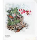 WILD LIFE GROUPING LITHOGRAPHS AND PHOTOGRAPH FIVE"Have A Heart" (rabbit with butterflies ) by