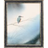 T. HOLAHAN, WATERCOLOR, H 17", W 14", "KINGFISHER"Watercolor depicts a Kingfisher perched on a