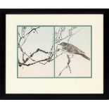 SEITEI WANTANABE, WOOD BLOCK PRINT, H 7 3/4", W 11 1/2", "BIRD IN TREE"Stamp in lower left. Matted