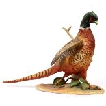 CYBIS, BISQUE PORCELAIN, SCULPTURE, #22, 1968, H 15", W 22", D 20", "AMERICAN PHEASANT"Cybis