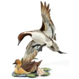 HUTSCHENREUTHER, GUNTHER GRANGET SIGNED, BISQUE PORCELAIN, DUCK FIGURES, #217/350, 2 PCS., H 15", "