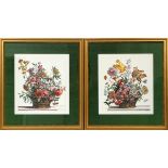 AFTER J. BAPTISTE, FRENCH FLORAL PRINTS PAIR, H 18", W 16"Green matting and frame size: 31" x 28".