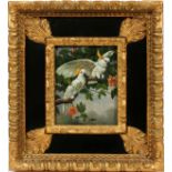 OIL ON PANEL, H 10", W 8", WHITE PARROTSImage size: 10" x 8" Frame size: 20" x 18". Signed Bilber.