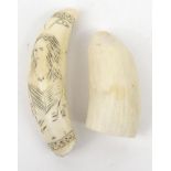 Two sperm whale ivory tusks - one with penwork design, the larger 15cm long : For Condition