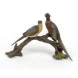 Cold painted bronze of two pheasants on a branch, 9cm high :For Condition Reports please visit www.