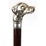 Wooden walking stick with silver dog's head terminal, hallmarked Birmingham 1995, 94cm long :For