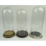 Three Victorian glass display domes on wooden stands, the largest 53cm high excluding the stand :For