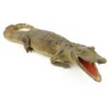 Taxidermy interest stuffed alligator with glass eyes, 82cm long :For Condition Reports please