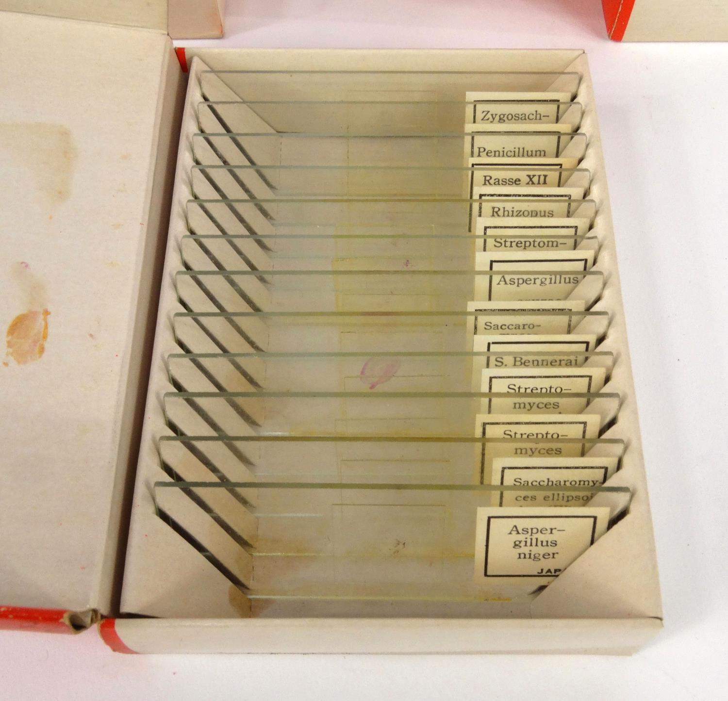 Five boxes of prepared slides - micro-organisms, bacteria, structure of blood, silk worm and mould - Image 2 of 5