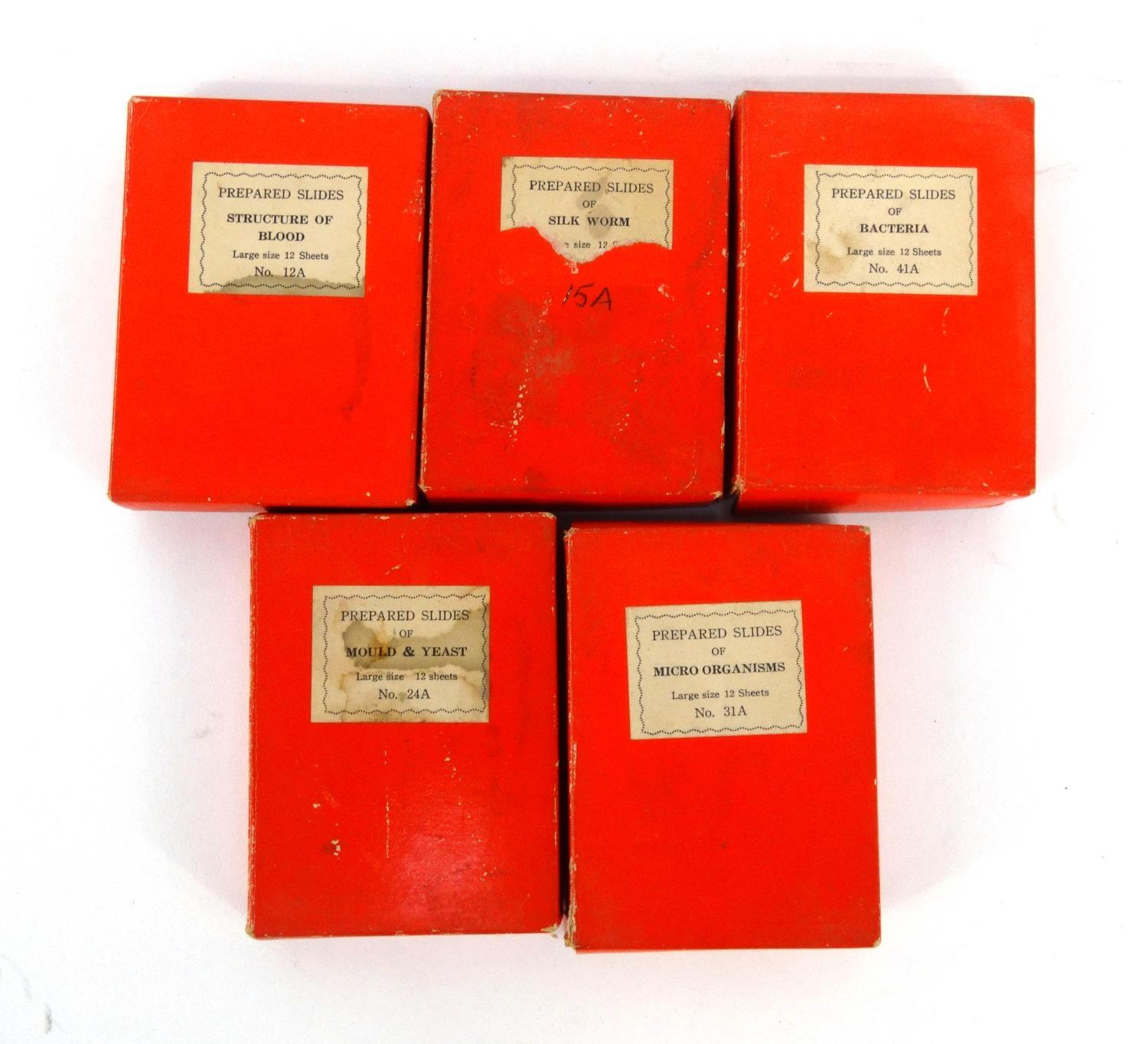 Five boxes of prepared slides - micro-organisms, bacteria, structure of blood, silk worm and mould - Image 5 of 5