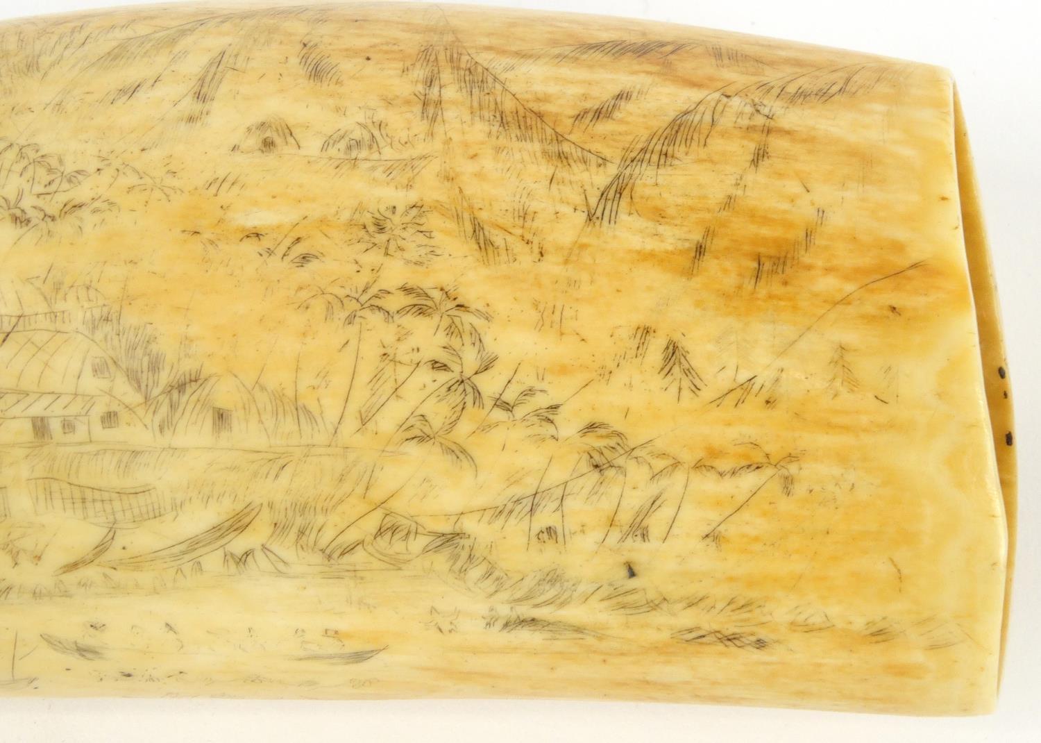 Antique scrimshaw whales tooth decorated with a tropical island, mountains, figures and boats, - Image 4 of 6