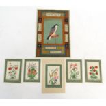 Collection of Middle Eastern Indian Moghul style gouache on paper views of wildlife, bird on a