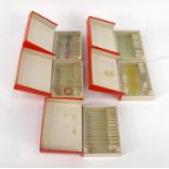 Five boxes of prepared slides - micro-organisms, bacteria, structure of blood, silk worm and mould