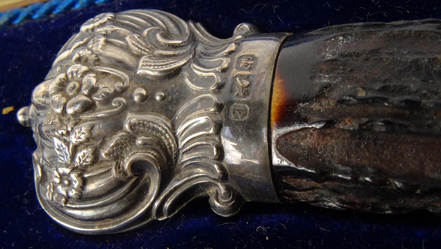 Levesley Brothers Sheffield horn handled carving set with silver finials, Sheffiedl 1897-98, in a - Image 5 of 8