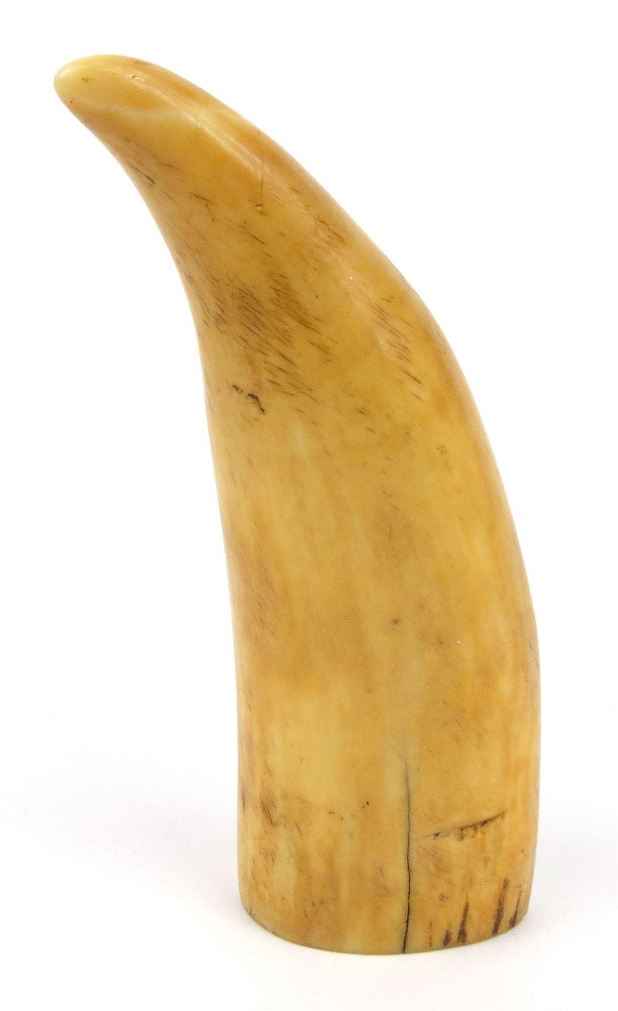Scrimshaw whales tooth decorated with a lady and gentleman, 14.5cm high - Image 3 of 4