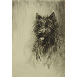 Jackson St James black and white etching of a terrier dog, mounted, 19cm x 14cm excluding the mount