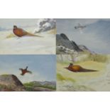 Philip Rickman - Four watercolours - two of a pheasant resting and two of birds in flight, all