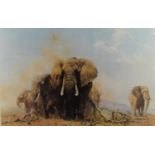 David Shepherd pencil signed limited edition print - Elephant in Tsavo National Park, numbered 80/