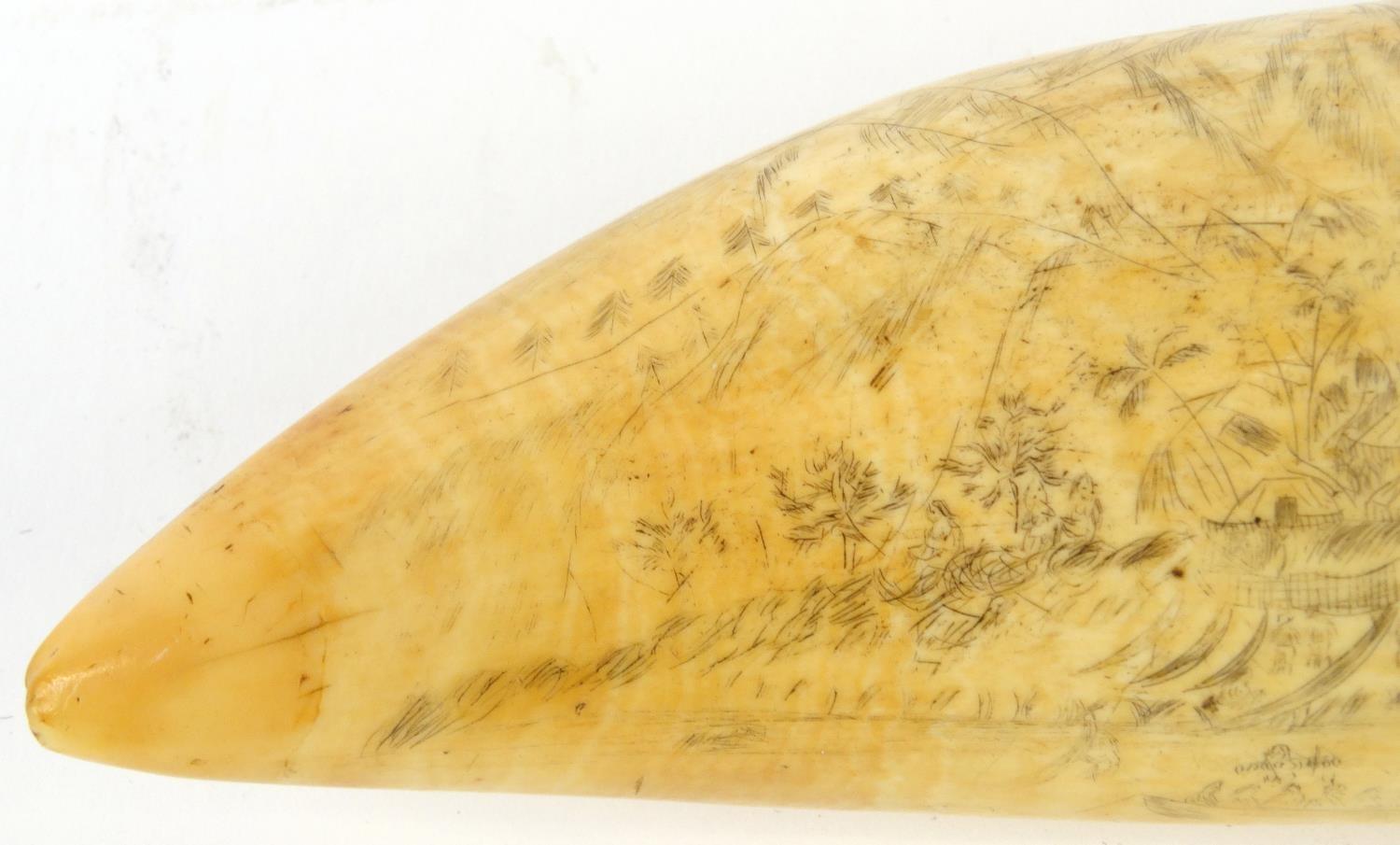 Antique scrimshaw whales tooth decorated with a tropical island, mountains, figures and boats, - Image 2 of 6