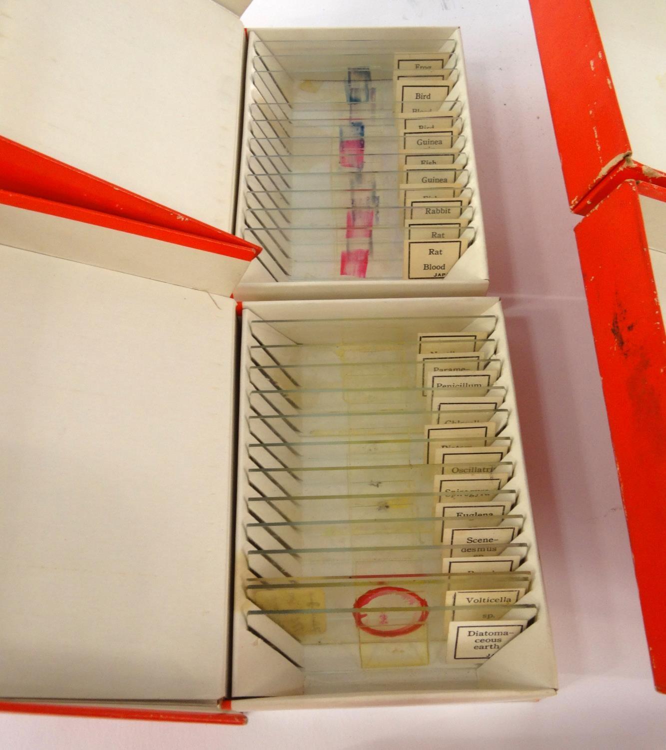 Five boxes of prepared slides - micro-organisms, bacteria, structure of blood, silk worm and mould - Image 4 of 5