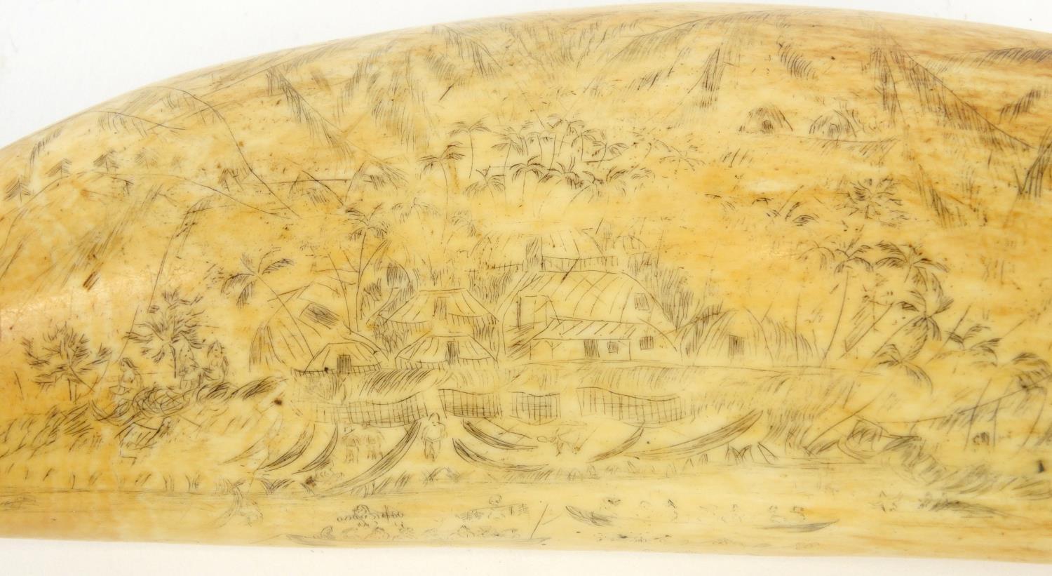 Antique scrimshaw whales tooth decorated with a tropical island, mountains, figures and boats, - Image 3 of 6