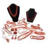 Large selection of natural coral and coral beads necklaces and brooches, some with gold clasps,