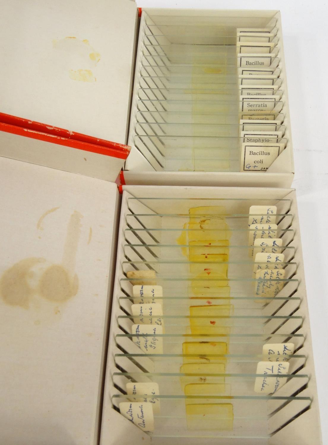 Five boxes of prepared slides - micro-organisms, bacteria, structure of blood, silk worm and mould - Image 3 of 5