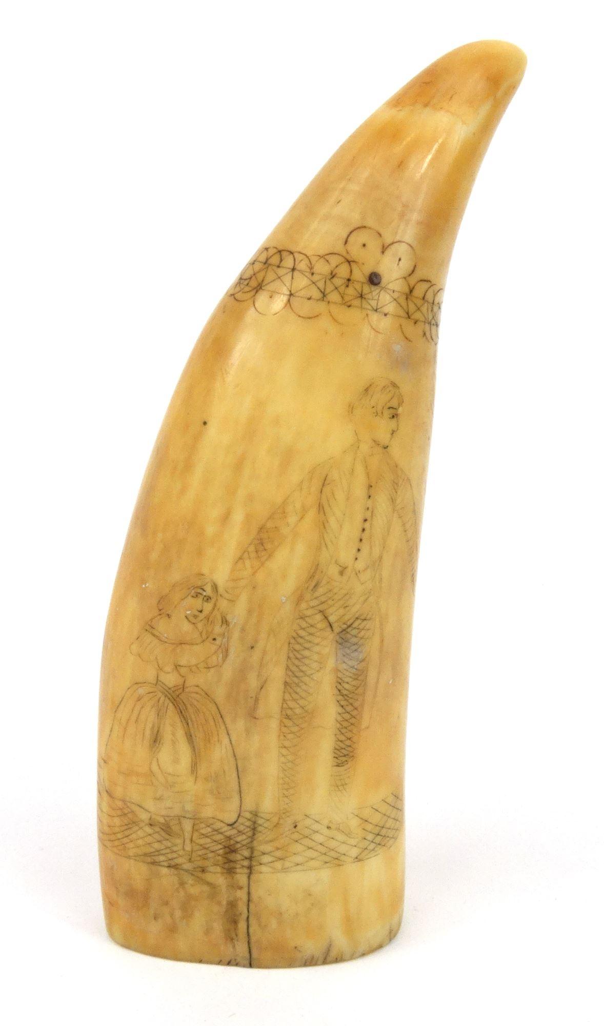 Scrimshaw whales tooth decorated with a lady and gentleman, 14.5cm high